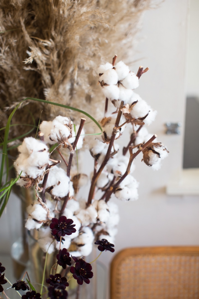 Cotton on display at Rook & Rose Flower shop